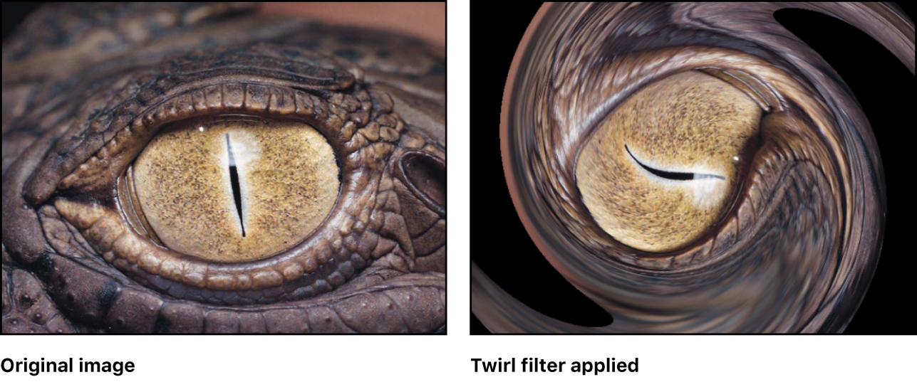 Canvas showing effect of Twirl filter
