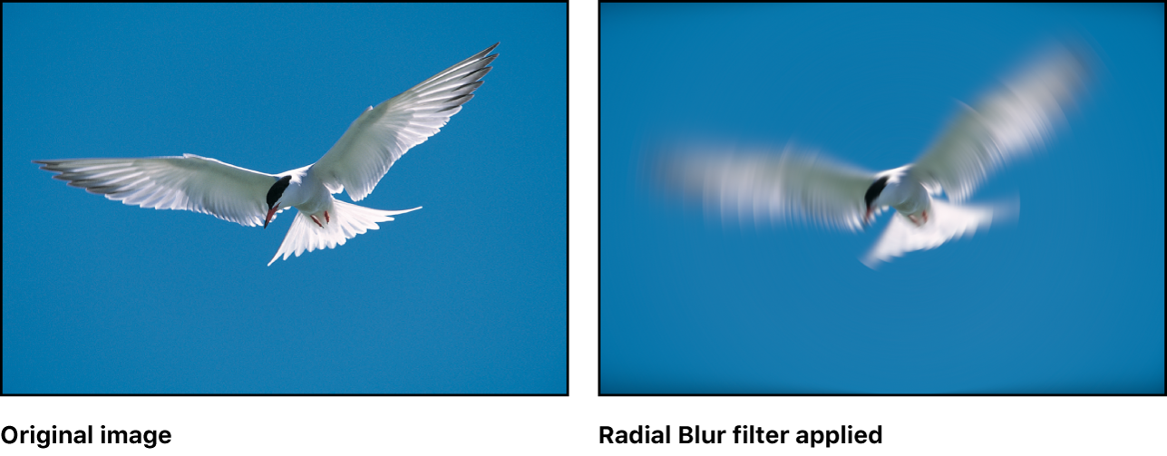 Canvas showing effect of Radial Blur filter