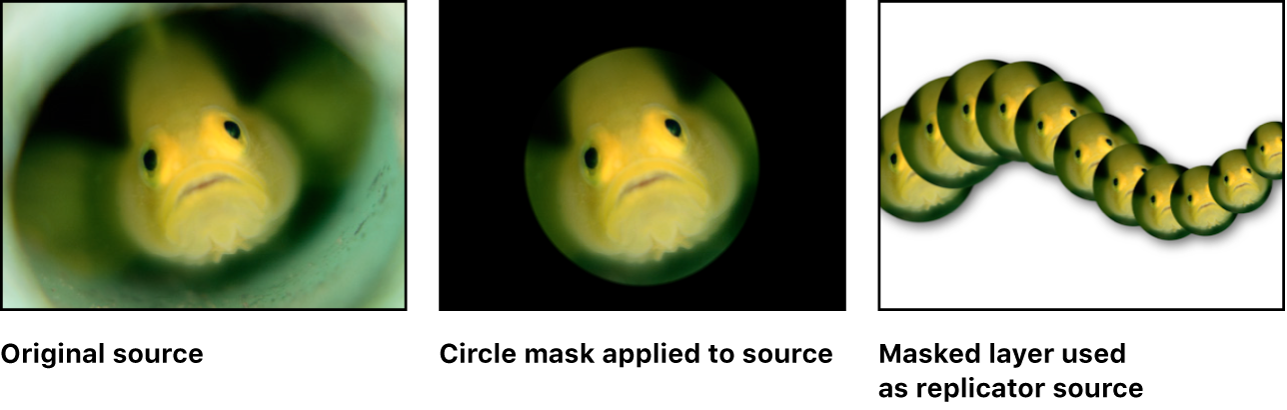 Canvas showing replicator with mask applied to the cell source layer