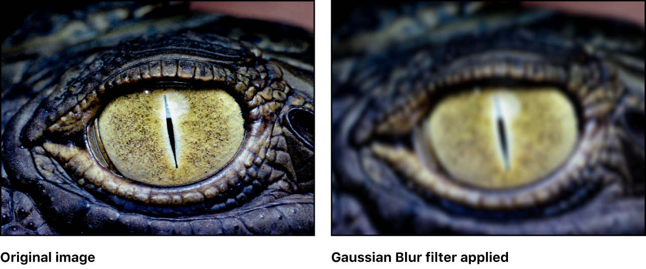 Canvas showing effect of Gaussian Blur filter