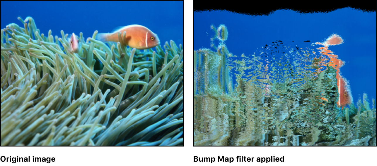 Canvas showing effect of Bump Map filter