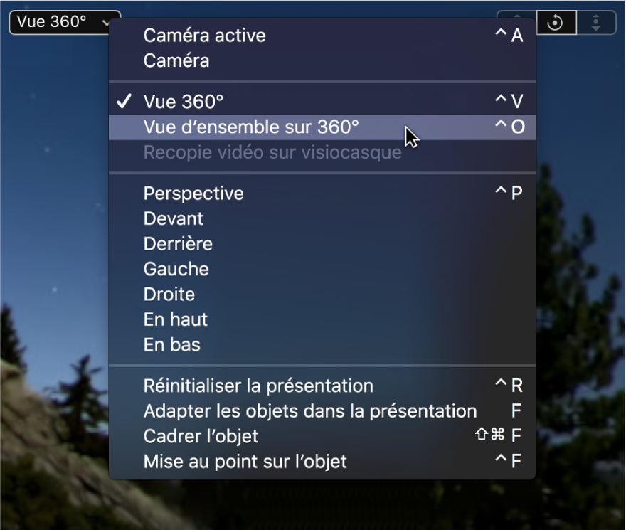 Sélection de l’option « Vue d’ensemble sur 360° » dans le menu local Caméra dans le canevas