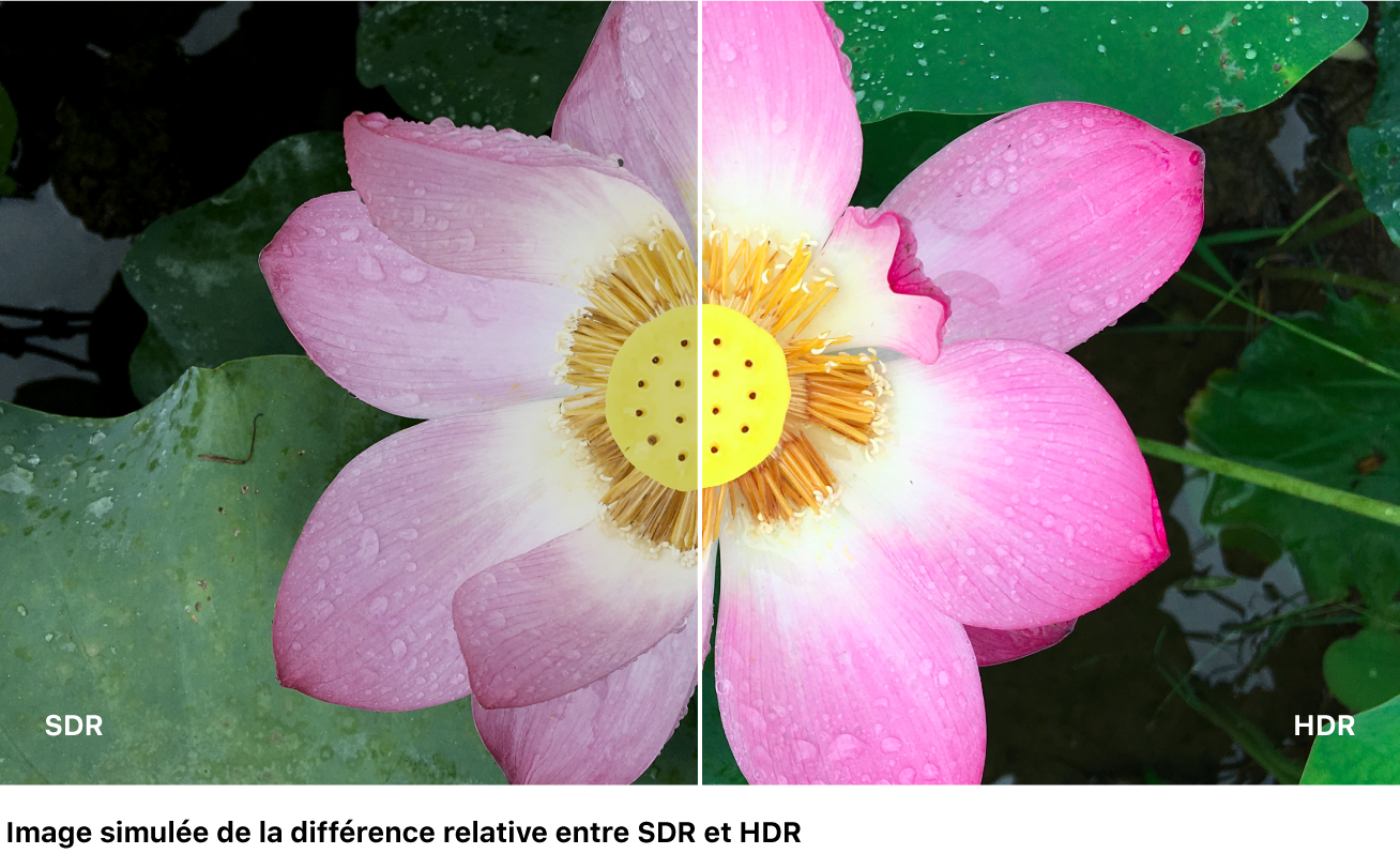 Image en écran scindé simulé comparant les formats SDR et HDR.