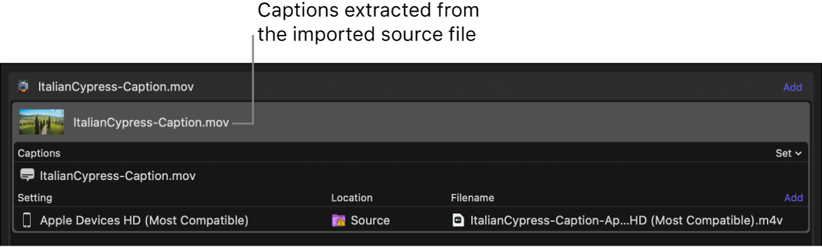 Batch area showing a captions file extracted from the source video file