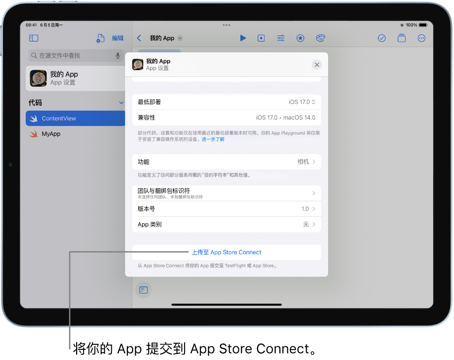 App 的“App 设置”窗口。你可以使用此窗口中的控制以标识你的 App 并将它上传到 App Store Connect。