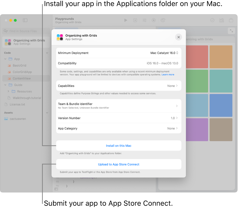 The App Settings window for an app that organizes content using a grid view. You can use the controls in this window to install your app in the Applications folder on your Mac, and upload your app to App Store Connect.