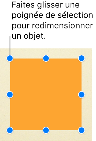 Un objet carré avec des poignées de sélection visibles à chaque coin et au milieu de chaque côté.