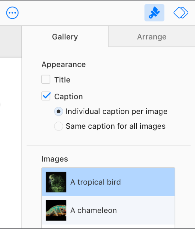 L’onglet Galerie dans la barre latérale Format. La case Sous-titre est sélectionnée et il existe des options pour activer un sous-titre individuel pour chaque image ou le même sous-titre pour l’ensemble des images. Sous les commandes se trouve la vignette de chaque image avec son sous-titre à droite.