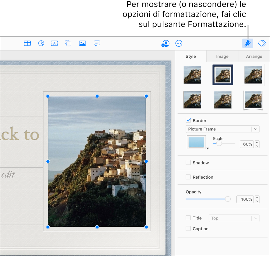 È selezionata un'immagine in una presentazione, e i controlli per modificarne l'aspetto (per esempio, le caselle bordi e ombre) sono mostrate nella barra laterale sulla destra.