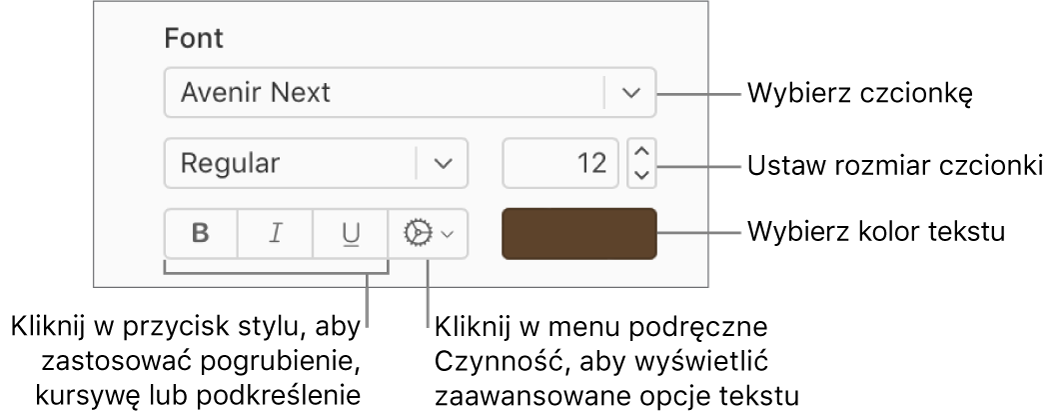 Narzędzia czcionki i stylu tekstu na pasku bocznym Format.