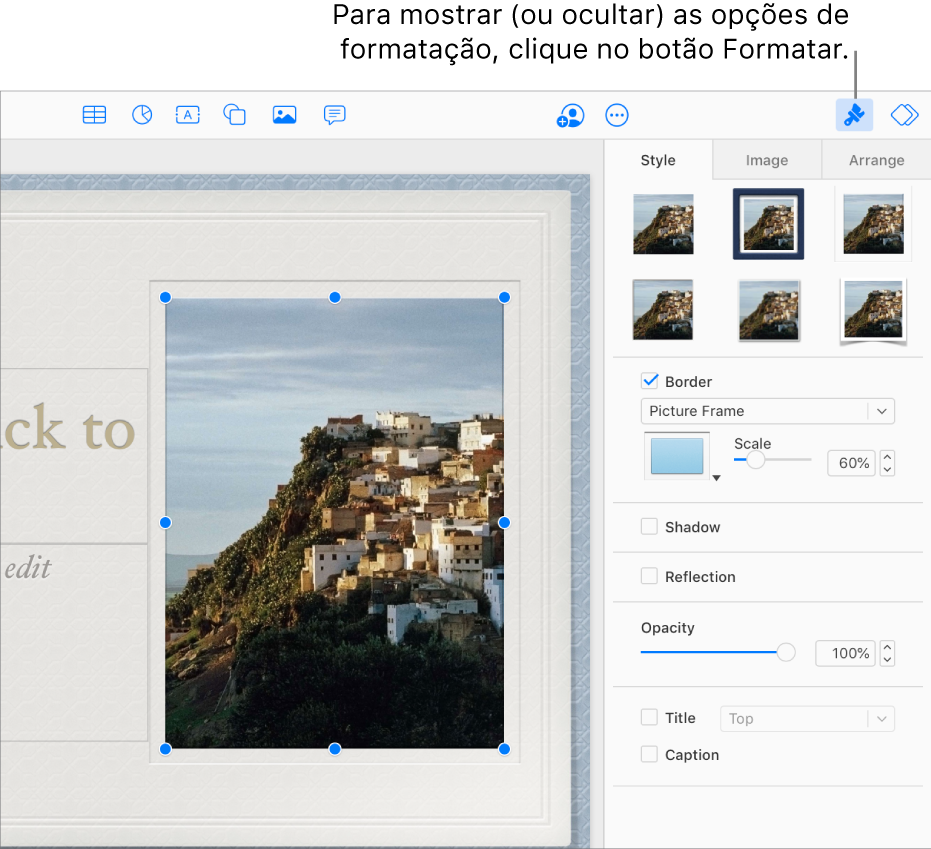 Uma imagem em uma apresentação está selecionada e os controles para alterar sua aparência (por exemplo, caixas de seleção de borda e sombra) são mostrados na barra lateral à direita.