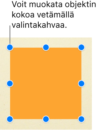 Neliönmuotoinen objekti, jossa näkyvät valintakahvat kaikissa kulmissa ja kunkin sivun keskellä.