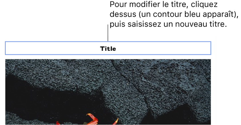 Le titre fictif « Titre » s’affiche au-dessus d’une photo. Un contour bleu autour du champ du titre montre qu’il est sélectionné.
