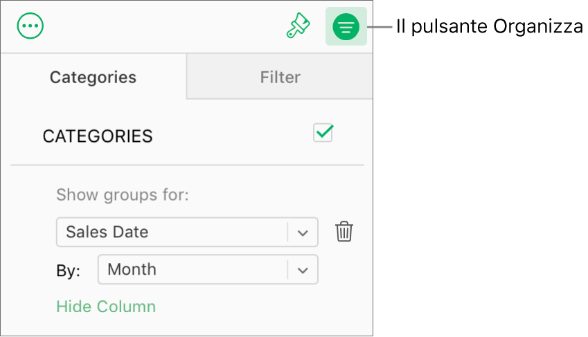 Il pulsante Organizza viene selezionato nella barra degli strumenti e le regole che descrivono una categoria vengono visualizzate nel pannello Categorie della barra laterale Organizza. Attualmente, i dati sono organizzati per “Data di vendita” e poi raggruppati per mese.
