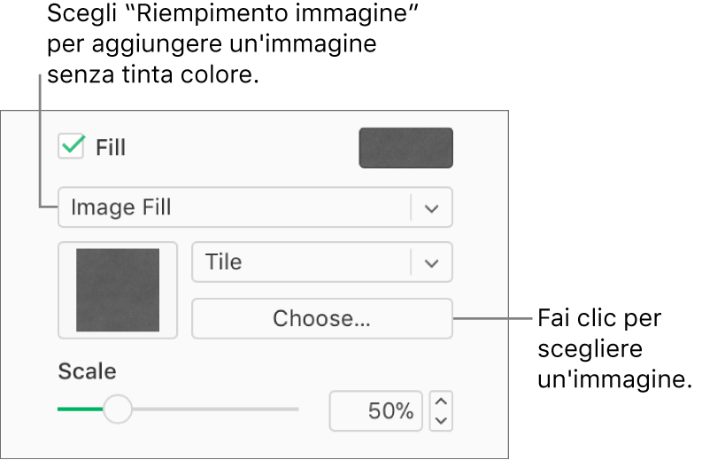Il riquadro Riempimento è selezionato nella barra laterale, e Riempimento immagine è selezionato nel menu a comparsa sotto il riquadro. I controlli per scegliere l'immagine, la sua scala e come riempire l'oggetto vengono visualizzati nel menu a comparsa. Un'anteprima del riempimento dell'immagine viene visualizzata nel quadrato (dopo aver selezionato un'immagine).