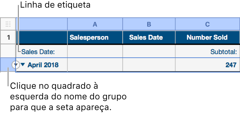 A linha de resumo está selecionada em uma tabela categorizada e uma seta para baixo aparece na borda; a linha de etiqueta acima da linha de resumo mostra o nome da categoria acima do nome do grupo e o nome de uma função, Subtotal, na terceira coluna.