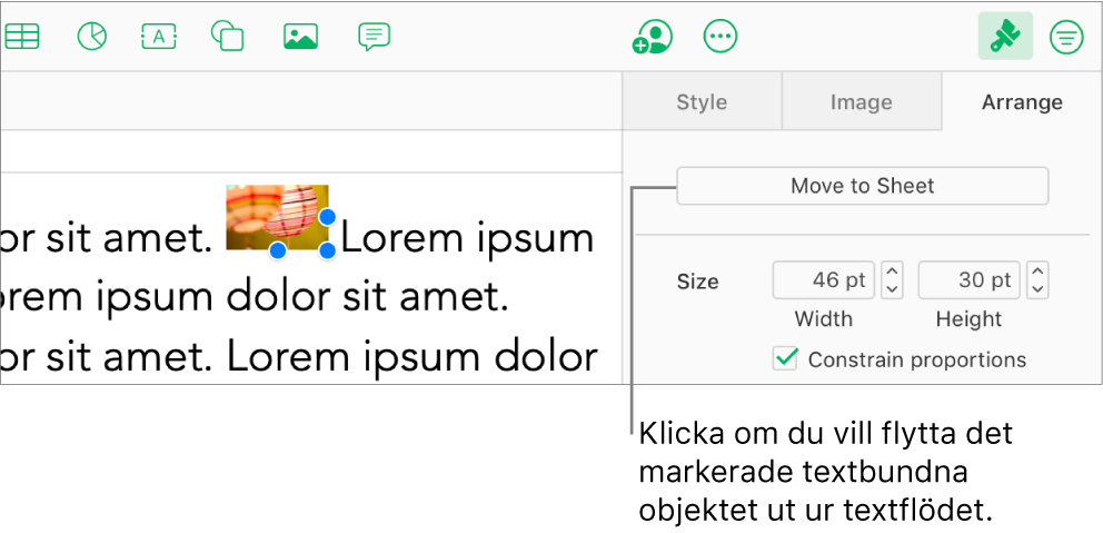En textbunden bild inuti en textruta är markerad och knappen Flytta till blad på sidan är synlig på fliken Ordna i sidofältet.
