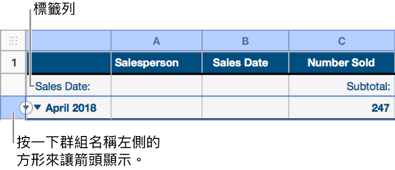 已分類表格中已選取摘要列，且其邊界出現向下箭頭；摘要列上方的標籤列在第三欄中，顯示群組名稱上方的類別與函數名稱小計。