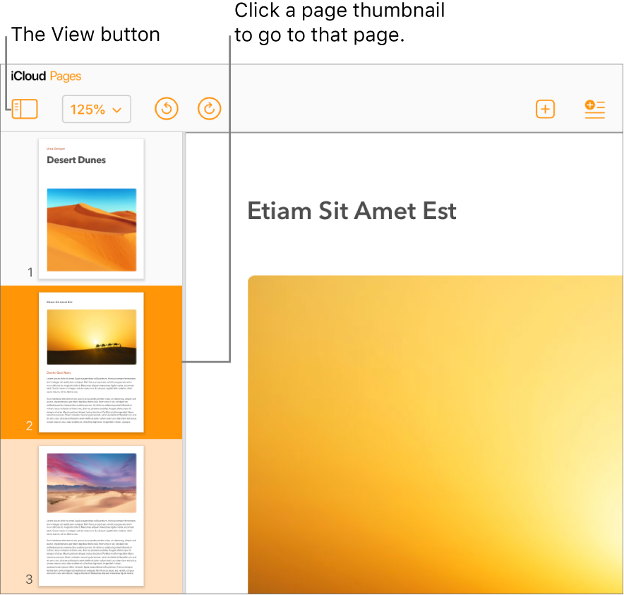 Page thumbnails in the left sidebar, with the selected page highlighted in dark orange and one other page in the same section highlighted in light orange.