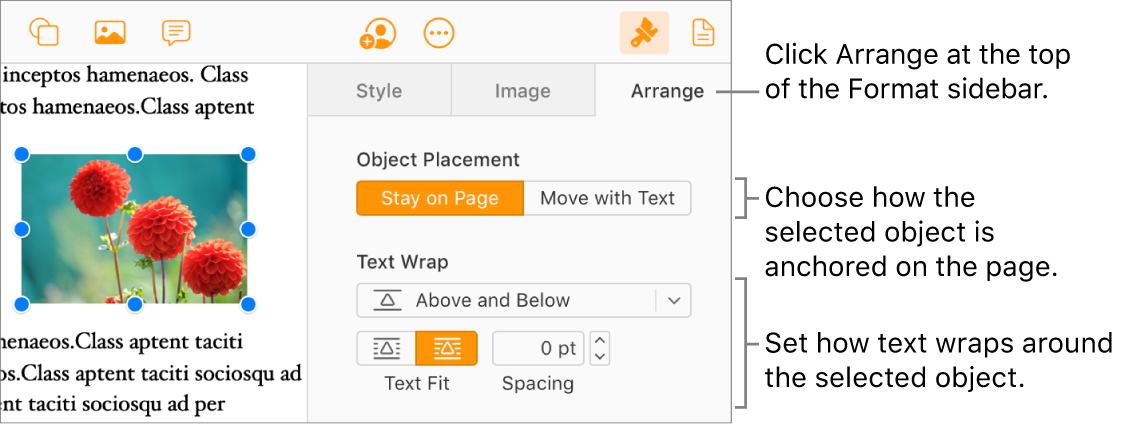 An image is selected in the document body; the Arrange tab of the Format sidebar shows the object is set to Stay on Page with text wrapping above and below the object.