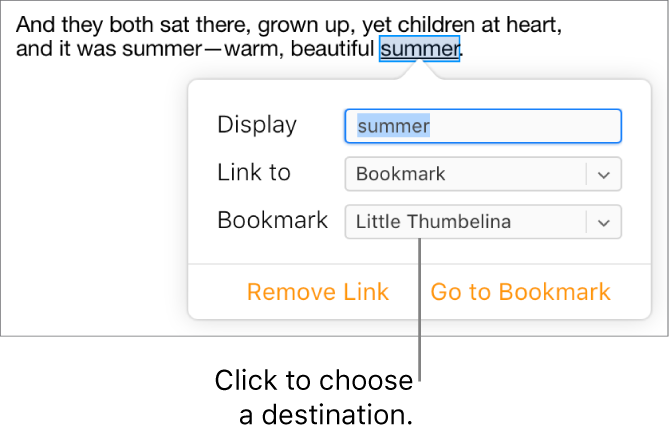 Text in a document is selected and underlined, and the link window shows the text is linked to a bookmark.