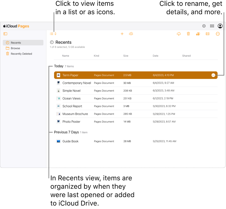 Pages for iCloud document manager, with Recents selected in the sidebar on the left. Nine documents are shown, grouped by categories—Today, April, and January, and a More button (three dots) is visible in the upper-right corner of the selected document.