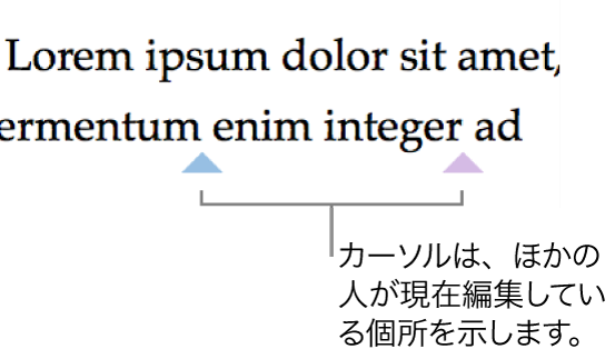他のユーザが共有書類のどの部分を編集しているかを示す、異なる色のカーソル。