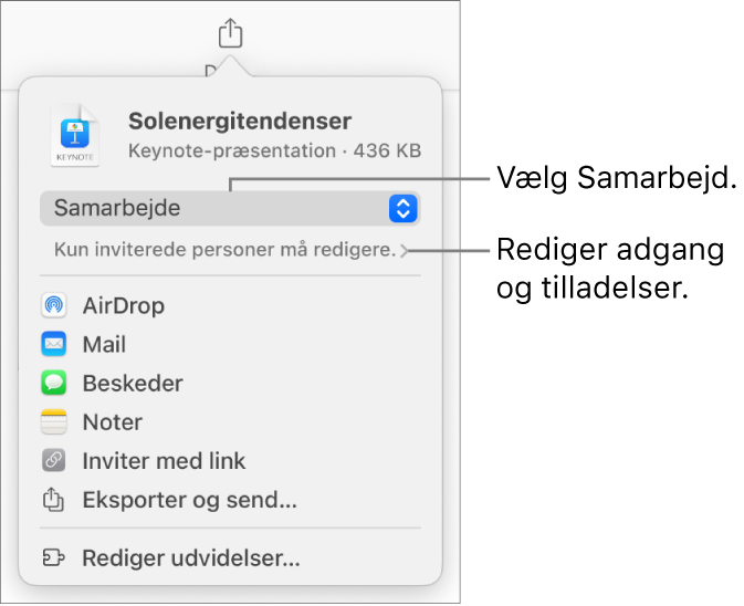 Menuen Del med Samarbejde valgt øverst og adgangs- samt tilladelsesindstillinger nedenunder.