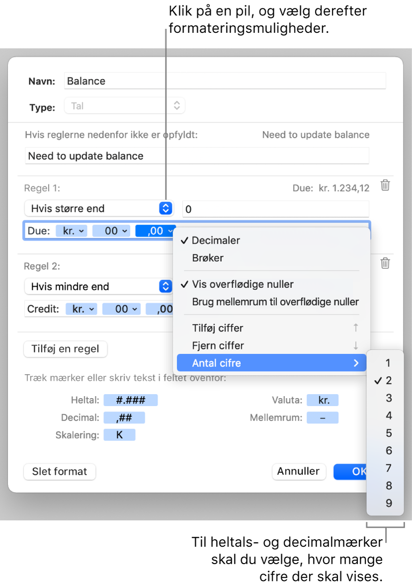 Vinduet til specielle celleformater med betjeningsmuligheder til oprettelse af et specielt talformat.