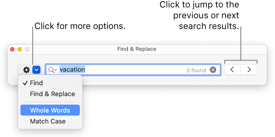The Find & Replace window with the pop-up menu showing options for Find, Find & Replace, Whole Words, and Match Case. The arrows on the right let you jump to the previous or next search results.