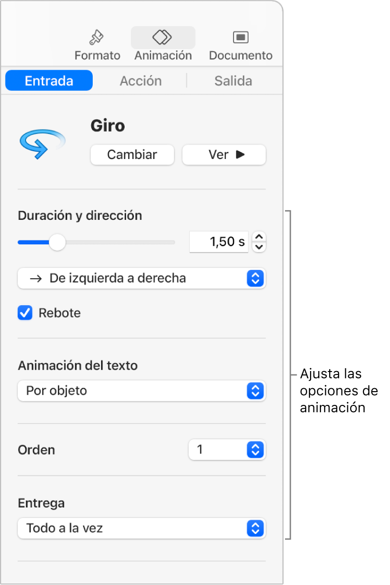 Opciones de Entrada en la sección Animación de la barra lateral.