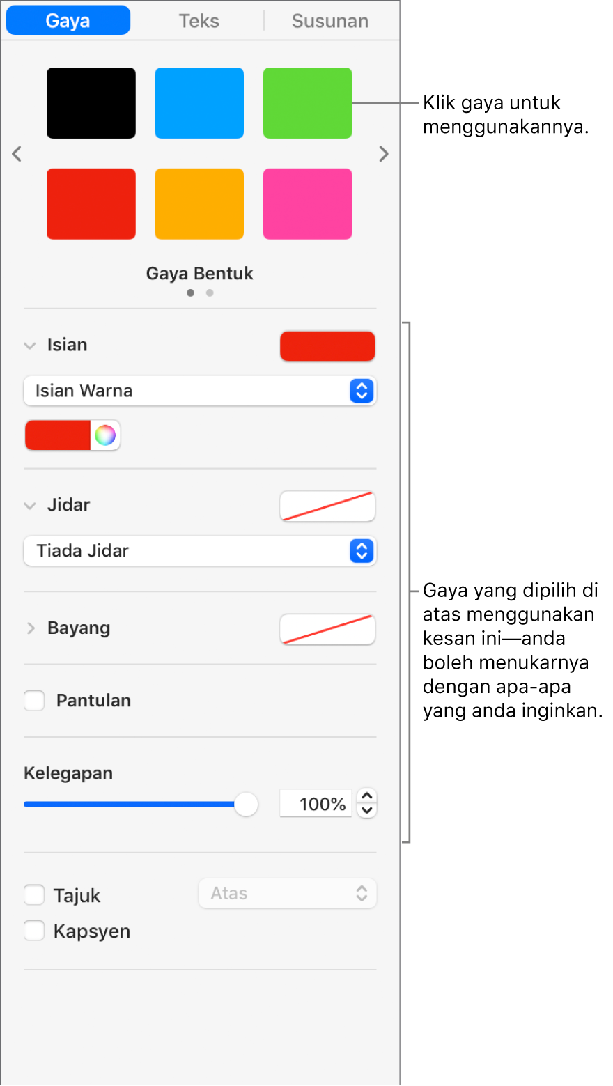 Gaya dan pilihan bentuk di bahagian Format dalam bar sisi.