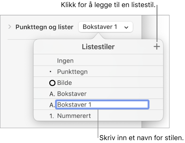 Listestiler-lokalmenyen med en Legg til-knapp øverst i høyre hjørne og et plassholderstilnavn med teksten markert.