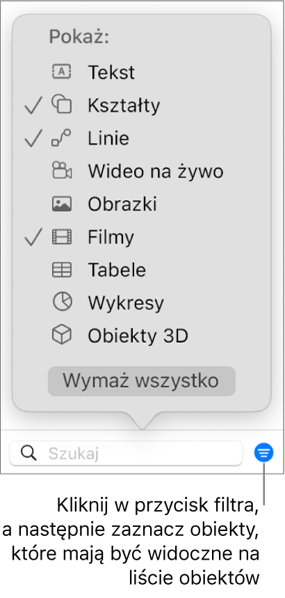 Rozwinięte menu podręczne filtra, zawierające listę typów obiektów, jakie mogą znajdować się na liście (tekst, kształty, linie, obrazki, filmy, tabele i wykresy).