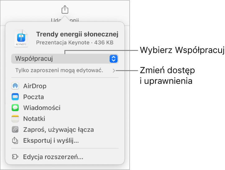 Menu udostępniania z opcją Współpracuj wybraną u góry oraz ustawieniami dostępu i uprawnień poniżej.