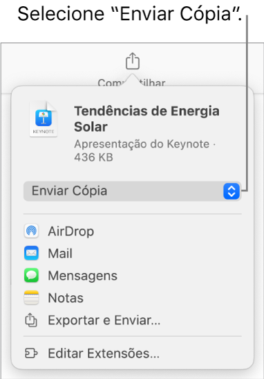 Menu Compartilhar com “Enviar Cópia” selecionado na parte superior.