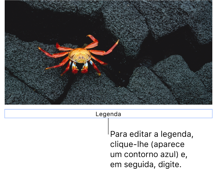 O marcador de posição de legenda, “Legenda”, aparece sob a fotografia; um contorno azul em redor do campo de legenda para mostrar que está selecionado.