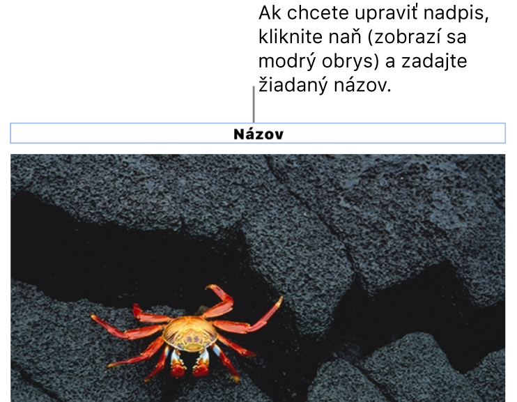 Pod fotkou sa zobrazí vzorový názov „Názov“. Okolo poľa názvu sa zobrazí modrý obrys, čo znamená, že je označený.