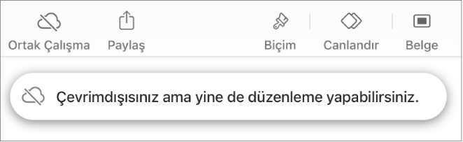 Ekranın en üstündeki düğmeler; Ortak Çalışma düğmesi, üzerinde çapraz bir çizgi olan bir buluta değişmiş. Ekrandaki bir uyarı “Çevrimdışısınız ama yine de düzenleyebilirsiniz” der.