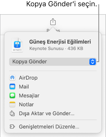 Paylaş menüsü, en üstte Kopya Gönder seçili.