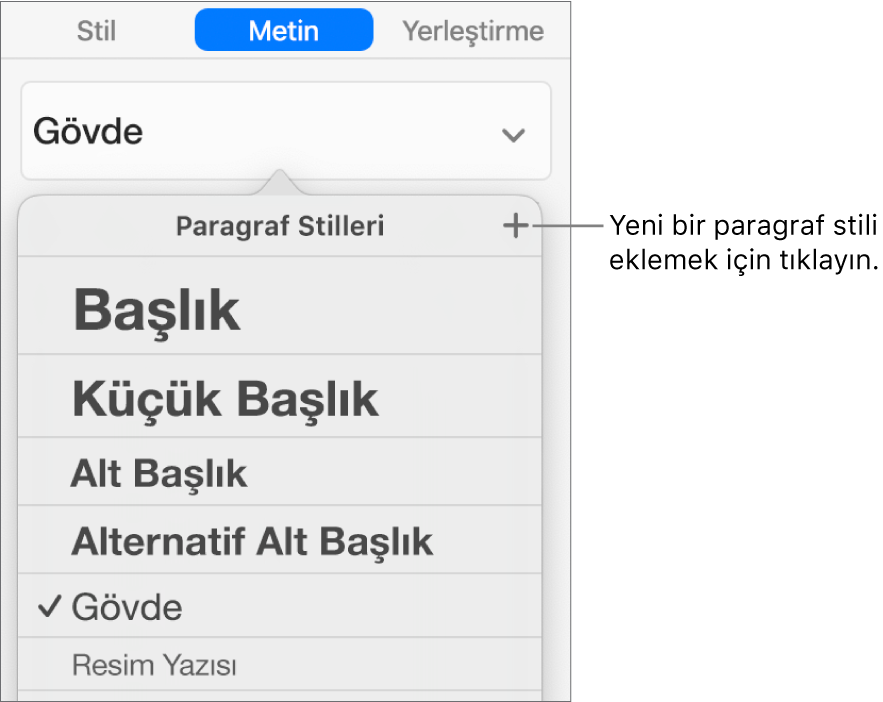 Yeni Stil düğmesi belirtimini içeren Paragraf Stilleri menüsü.