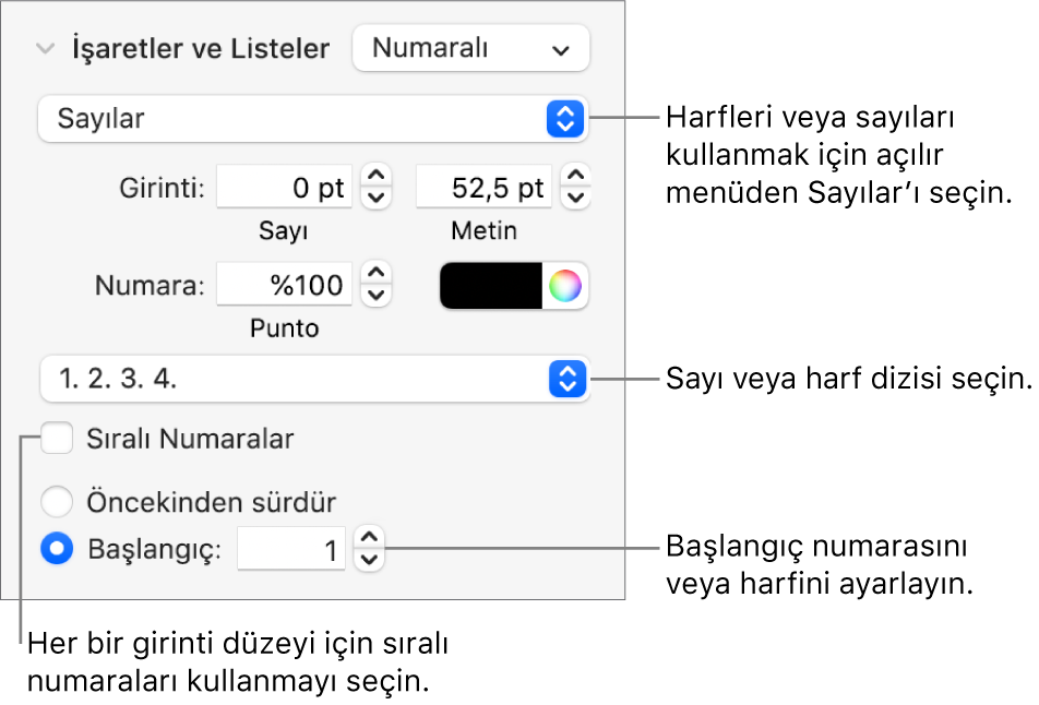 Numara stilini ve bir lise boşluğunu değiştirme denetimleri.