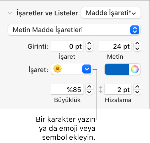 Biçim kenar çubuğunun Madde İşaretleri ve Listeler bölümü. Madde İşareti alanı bir çiçek emojisi gösterir.