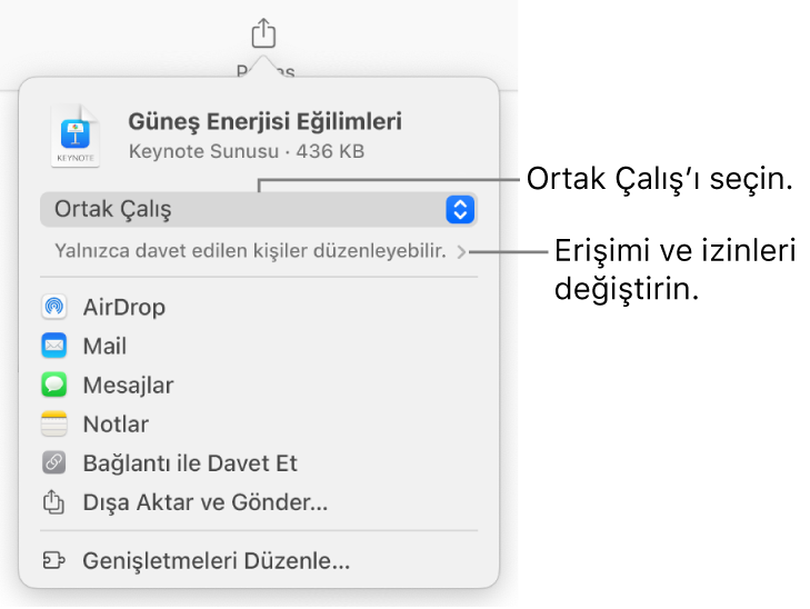 En üstte Ortak Çalış seçili olan Paylaş menüsü ve altında erişim ve izin ayarları.