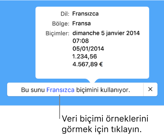 O dil ve bölgede kullanılan biçimlendirme örneklerini gösteren, farklı dil ve bölge ayarı bildirimi.