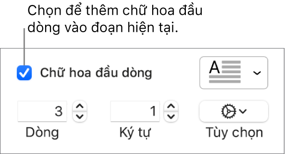 Hộp kiểm Chữ hoa đầu dòng được chọn và menu bật lên xuất hiện ở bên phải; các điều khiển để đặt chiều cao đường, số lượng ký tự và các tùy chọn khác xuất hiện bên dưới.