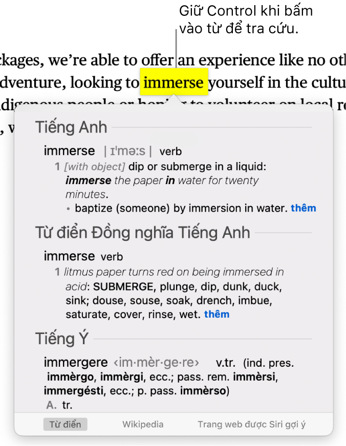 Văn bản có từ được tô sáng và cửa sổ hiển thị định nghĩa cũng như mục nhập từ điển đồng nghĩa. Hai nút ở cuối cửa sổ sẽ cung cấp liên kết đến từ điển và Wikipedia.