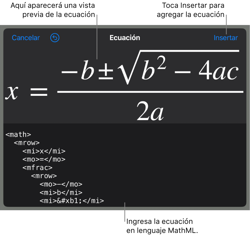 El cuadro de diálogo Ecuación con una ecuación escrita con comandos de MathML y una previsualización de la fórmula encima.