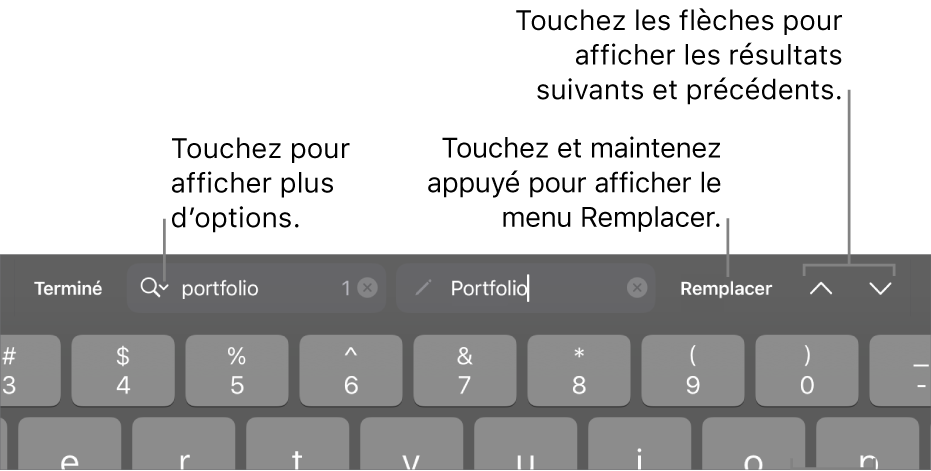 Les commandes Rechercher et remplacer au-dessus du clavier avec des légendes pour les boutons Options de recherche, Monter et Descendre.