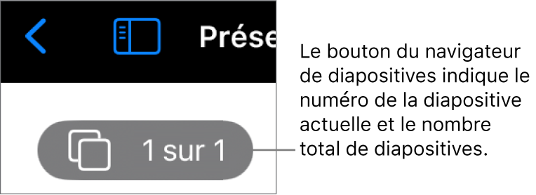 Le bouton du navigateur de diapositives présentant le numéro de la diapositive active et le nombre total de diapositives dans la présentation.
